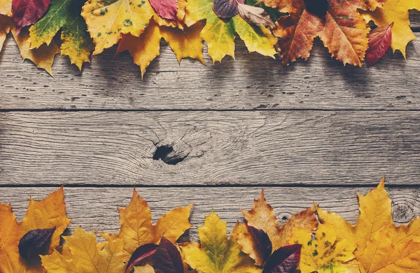 Sonbahar sezonu arka plan, sarı akçaağaç yaprakları