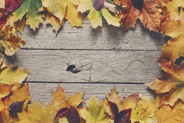 Sonbahar sezonu arka plan, sarı akçaağaç yaprakları