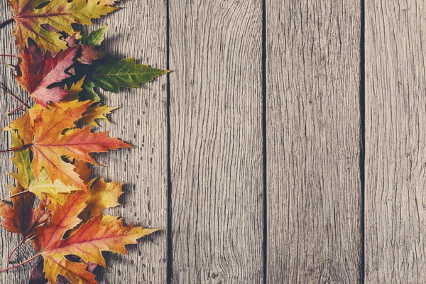 Sonbahar sezonu arka plan, sarı akçaağaç yaprakları