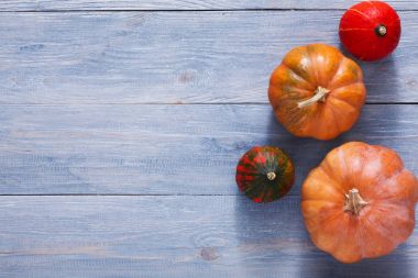 Sonbaharda hasat kabaklar arka plan kopya alanı ile