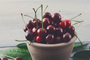 Taze kiraz closeup mavi rustik ahşap üzerine yeşil yaprakları ile