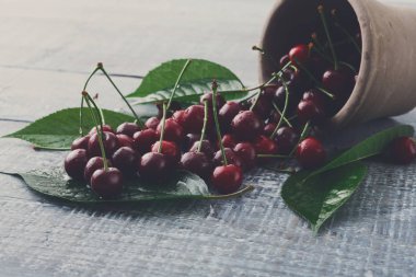 Taze kiraz closeup mavi rustik ahşap üzerine yeşil yaprakları ile