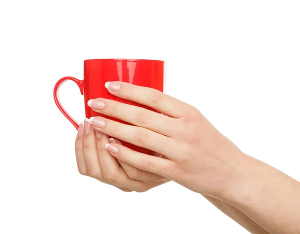Womans hands holding a cup of tea, crop, cut out — Stock Photo, Image