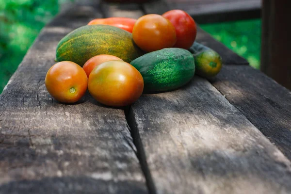 Färska grönsaker på ett träbord, kopia utrymme — Stockfoto