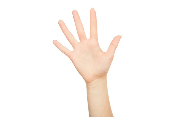 Womans kézzel így fog öt odaad gesztus, termés, kivágott — Stock Fotó