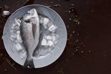 Siyah arka plan, buzlu tabakta taze dorado