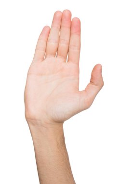 Beş jest, üzerinde beyaz izole uzanmış avuç al