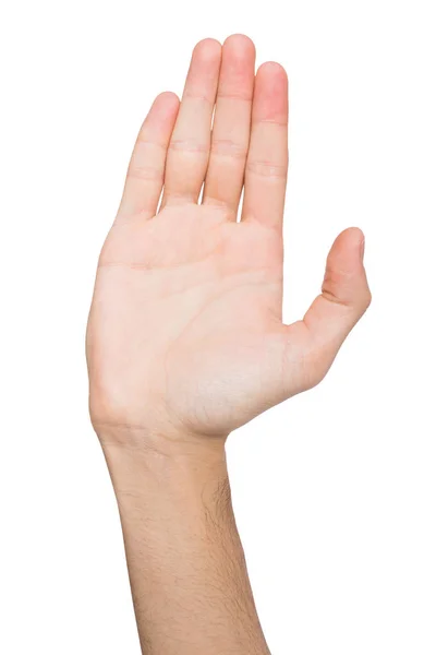 Візьміть п'ять жестів, витягнута відкрита долоня ізольована на білому — стокове фото