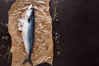 Siyah arka plan, Kraft kağıt üzerinde taze uskumru