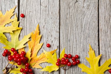 Sonbahar akçaağaç sarı rustik ahşap arka plan üzerinde bırakır