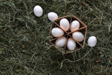 Karton rustik ahşap zemin üzerine taze tavuk beyaz yumurta