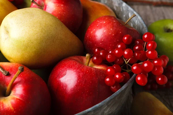 Sonbaharda hasat ve Şükran günü kartı arka plan