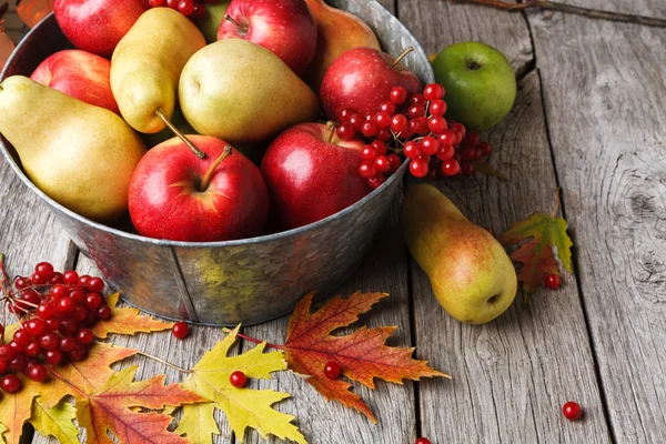 Herbst-Ernte und Erntedankkarte Hintergrund — Stockfoto