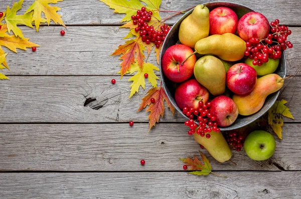 Herbst-Ernte und Erntedankkarte Hintergrund — Stockfoto