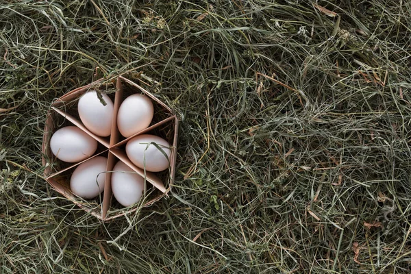 Ayam segar putih telur di karton pada latar belakang kayu pedesaan — Stok Foto