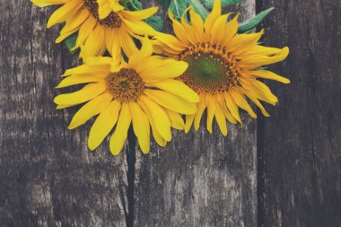 Ayçiçeği ahşap bir masa, kopya alanı üzerinde