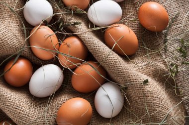 Keten, organik tarım arka plan üzerinde taze tavuk kahverengi yumurta