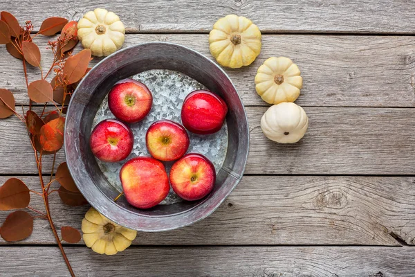 Bacino metallico con mele in acqua. Autunno raccolta sfondo — Foto Stock