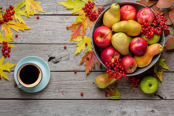 Sonbaharda hasat ve Şükran günü kartı arka plan