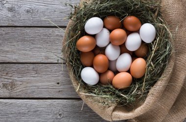 Çuval, organik arka plan tarım taze tavuk kahverengi yumurta