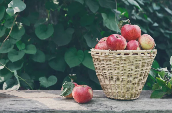 Baskets with apples harvest in fall garden