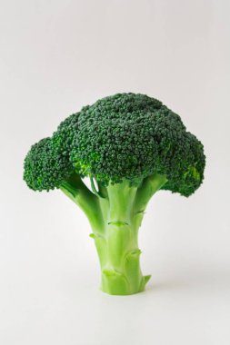 Taze yeşil brokoli ağaç beyaz arka plan üzerinde
