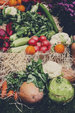 Çiftçiler yiyecek pazar yeri, organik sebze