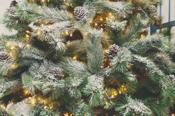 Árbol de Navidad fondo de vacaciones, primer plano —  Fotos de Stock