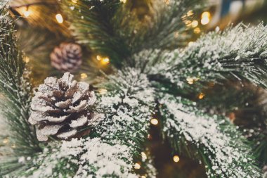 Noel ağacı tatil arka plan, portre