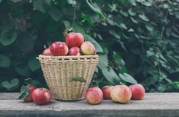 Baskets with apples harvest in fall garden