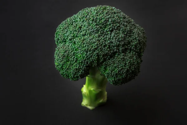 Świeże brokuły zielone drzewo na ciemnym tle — Zdjęcie stockowe