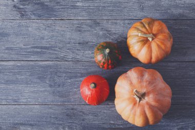 Güz pumpkins arka plan kopya alanı ile