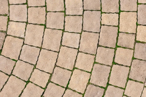 Stone paving texture. Abstract pavement background. — Stock Photo, Image