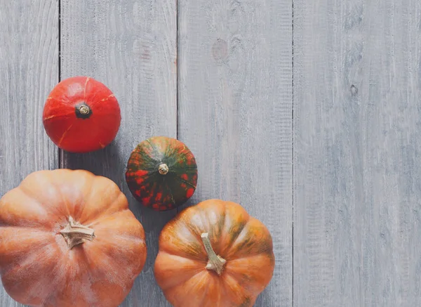 Kopya alanı mavi ahşap zemin üzerine kabaklar