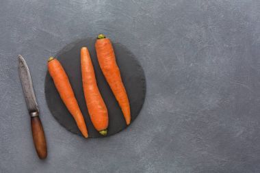 Rustik kayrak taş plaka ile havuç, kopya alanı