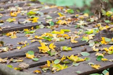 Ahşap, bahçe dekorasyon sonbahar yaprakları
