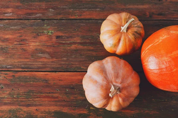 Güz pumpkins arka plan kopya alanı ile