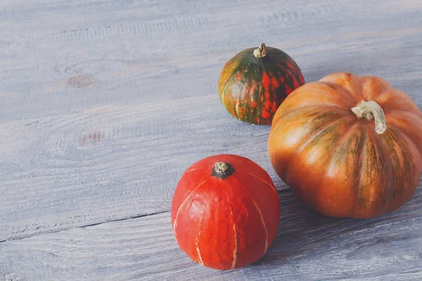 Kopya alanı mavi ahşap zemin üzerine kabaklar