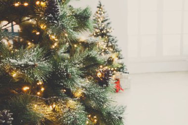 Güzel Noel ağacı ışıkları parlayan süslenmiş