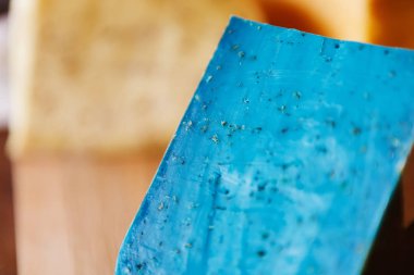 Gouda pesto mavi peynir portre