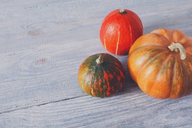 Güz pumpkins arka plan kopya alanı ile