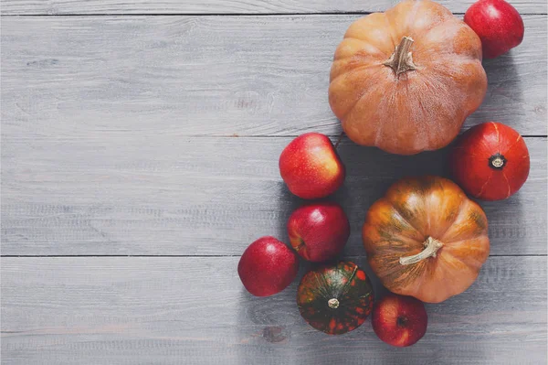 Herbst Kürbisse Hintergrund mit Kopierraum — Stockfoto