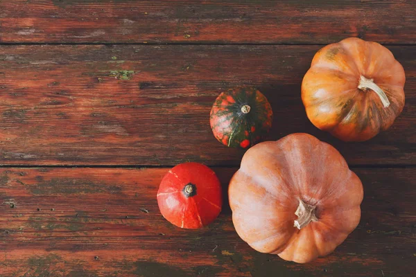 Kopya alanı kırmızı ahşap zemin üzerine kabaklar