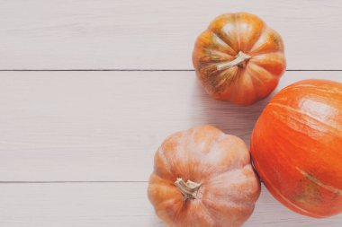 Beyaz tahta arka plan ile kopya alanı üzerinde kabaklar