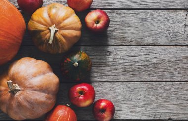 Sonbaharda hasat kabaklar arka plan kopya alanı ile