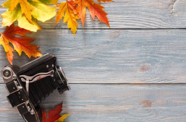 Sonbahar sezonu arka plan, canlı akçaağaç yaprakları