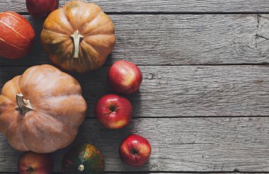 Sonbaharda hasat kabaklar arka plan kopya alanı ile