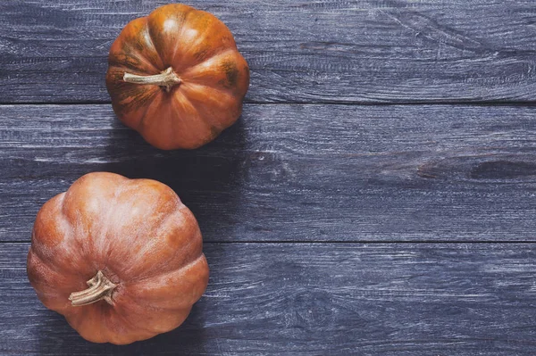 Sonbaharda hasat kabaklar arka plan kopya alanı ile