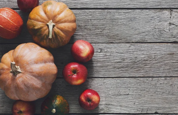 Sonbaharda hasat kabaklar arka plan kopya alanı ile