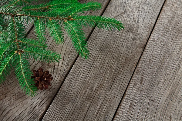 Kerstboom takken achtergrond — Stockfoto